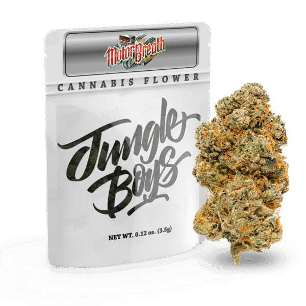 Jungle Boys | Motor Breath - 3.5g Flower